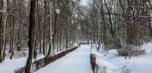 Bestialski gwałt w Łodzi. Sprawca zaatakował kobietę w parku