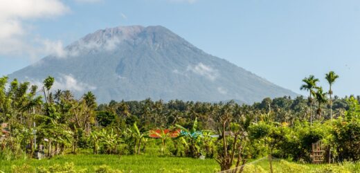 Dwoje Polaków zatrzymanych na Bali. Są podejrzewani o nielegalną pracę