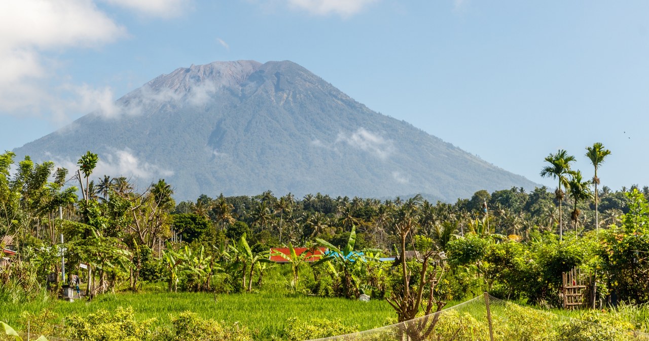 Dwoje Polaków zatrzymanych na Bali. Są podejrzewani o nielegalną pracę