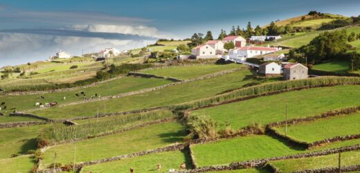 Biała niespodzianka na portugalskich wyspach. To rzadkie zjawisko
