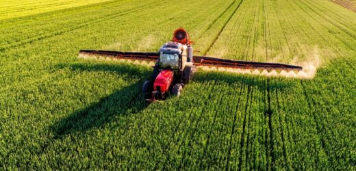 Komisja Europejska rozważa uszczelnienie systemu importu żywności z Ameryki