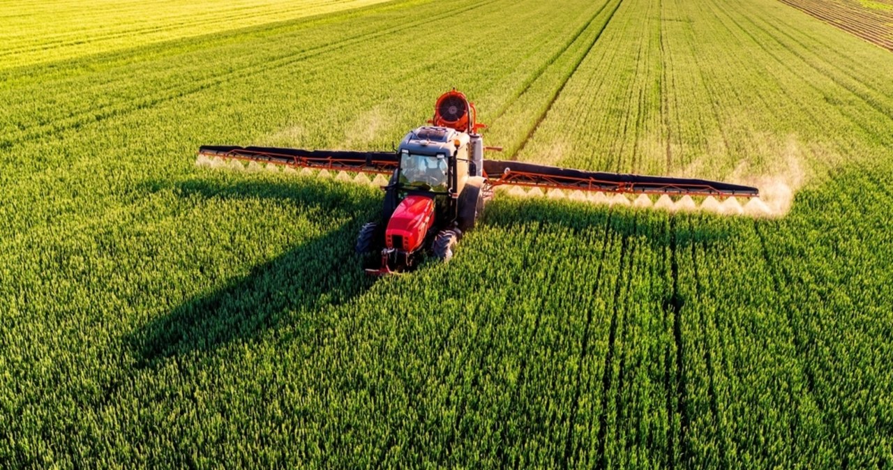 Komisja Europejska rozważa uszczelnienie systemu importu żywności z Ameryki