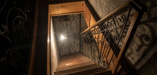 Polka przez lata była więziona w piwnicy. Uratował ją międzynarodowy znak