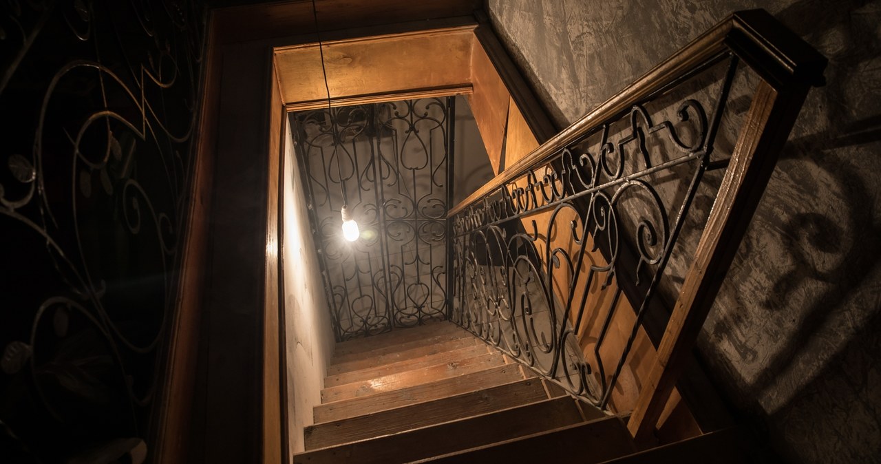 Polka przez lata była więziona w piwnicy. Uratował ją międzynarodowy znak