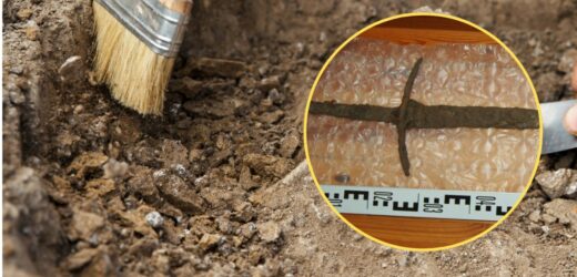 Niezwykłe znalezisko nad rzeką Osą. Miecz i topory z okresu średniowiecza