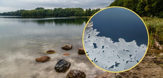 Zima w pełni. Najgłębsze jezioro w Polsce zamarzło