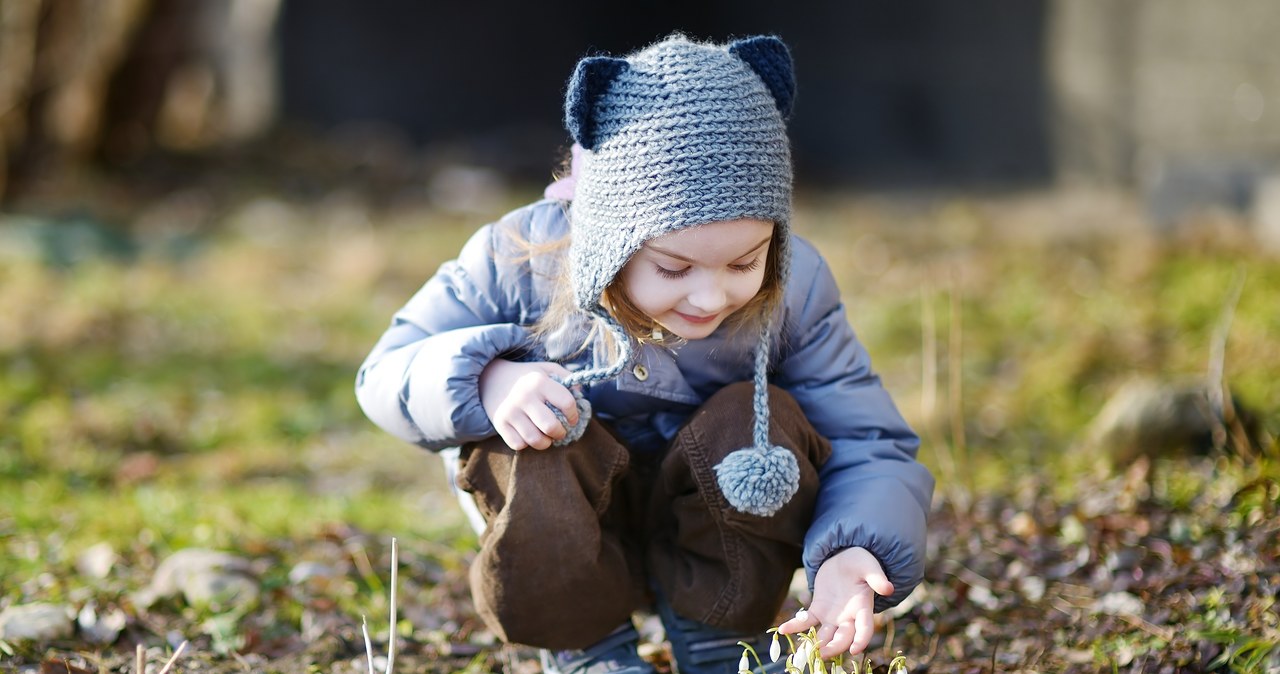 Mróz odpuszcza. IMGW zdradza, kiedy wiosna zawita do Polski