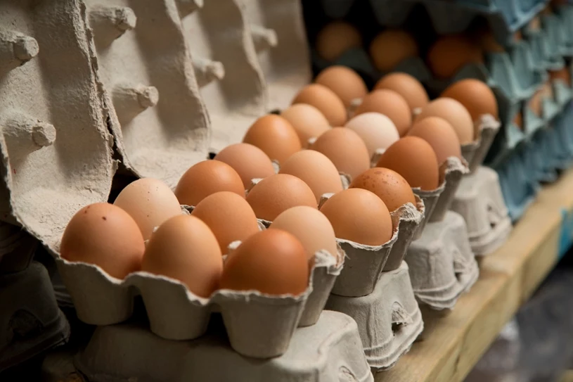 Sieć Dino wycofuje jajka ze sprzedaży. Na celowniku konkretna odmiana