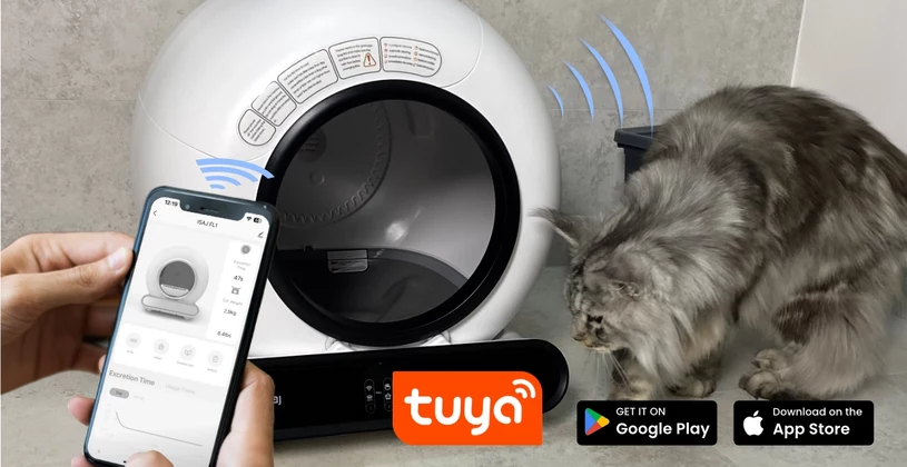 Jakie funkcje powinna mieć idealna automatyczna kuweta?