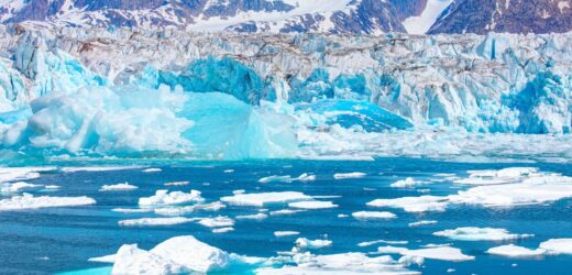 Glony mogą powodować szybsze topnienie Grenlandii