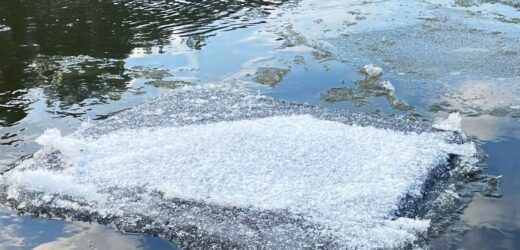 ​Przemycają papierosy rzeką na tratwach udających krę