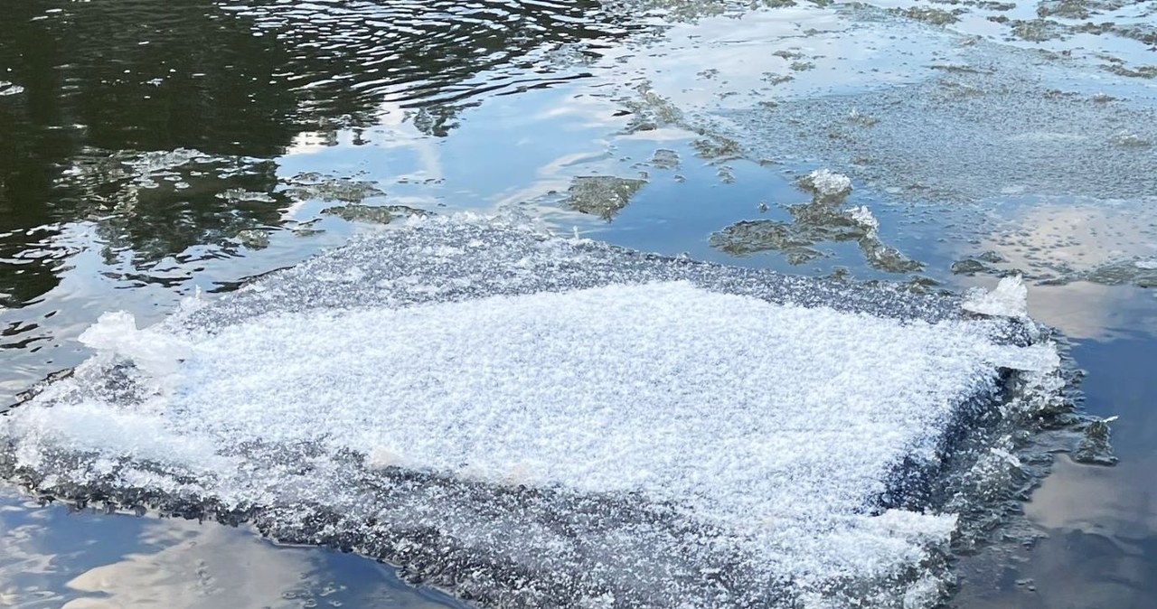 Przemycają papierosy rzeką na tratwach udających krę