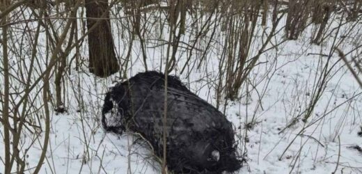 Kolejny zbiornik rakiety Falcon 9 znaleziony w Wielkopolsce?