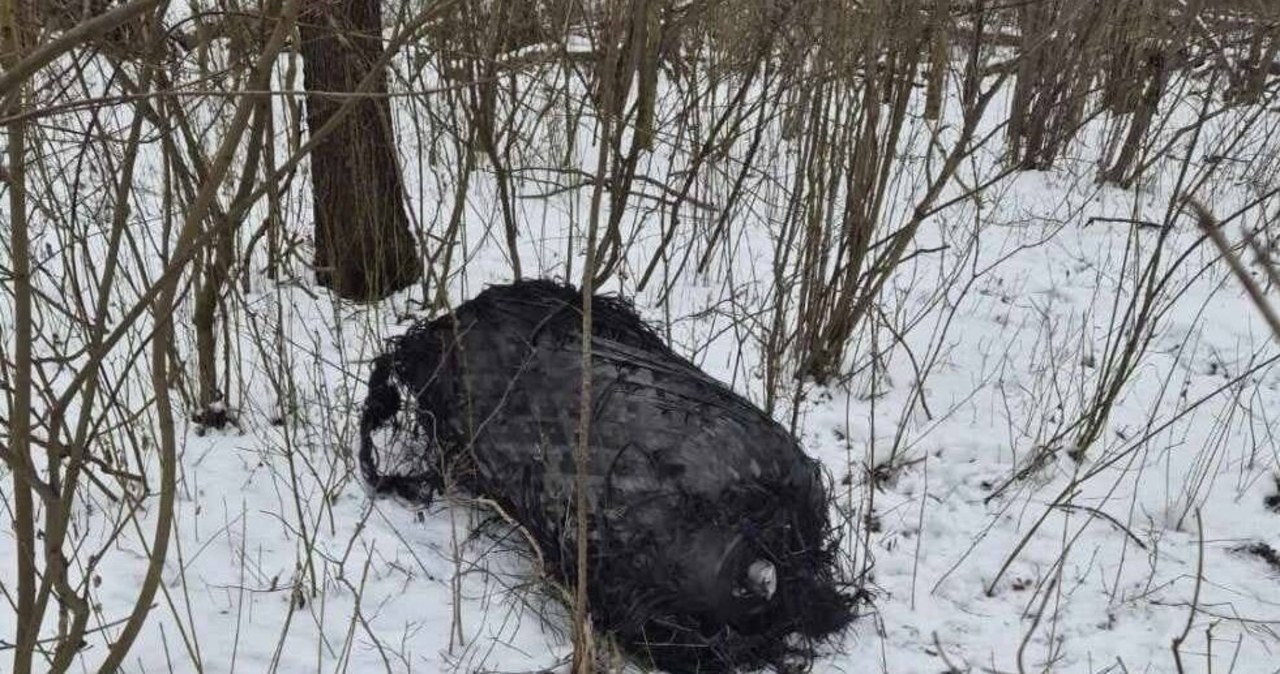 Kolejny zbiornik rakiety Falcon 9 znaleziony w Wielkopolsce?