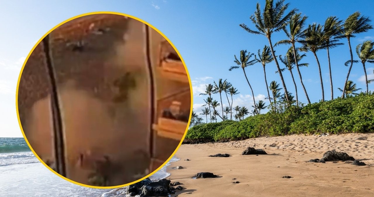 Potężny wybuch grilla w ośrodku wypoczynkowym. Są ranni [NAGRANIE]