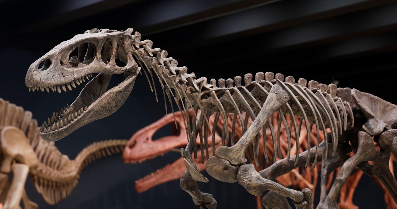 Polacy wierzą, że ludzie żyli w tym samym czasie, co dinozaury