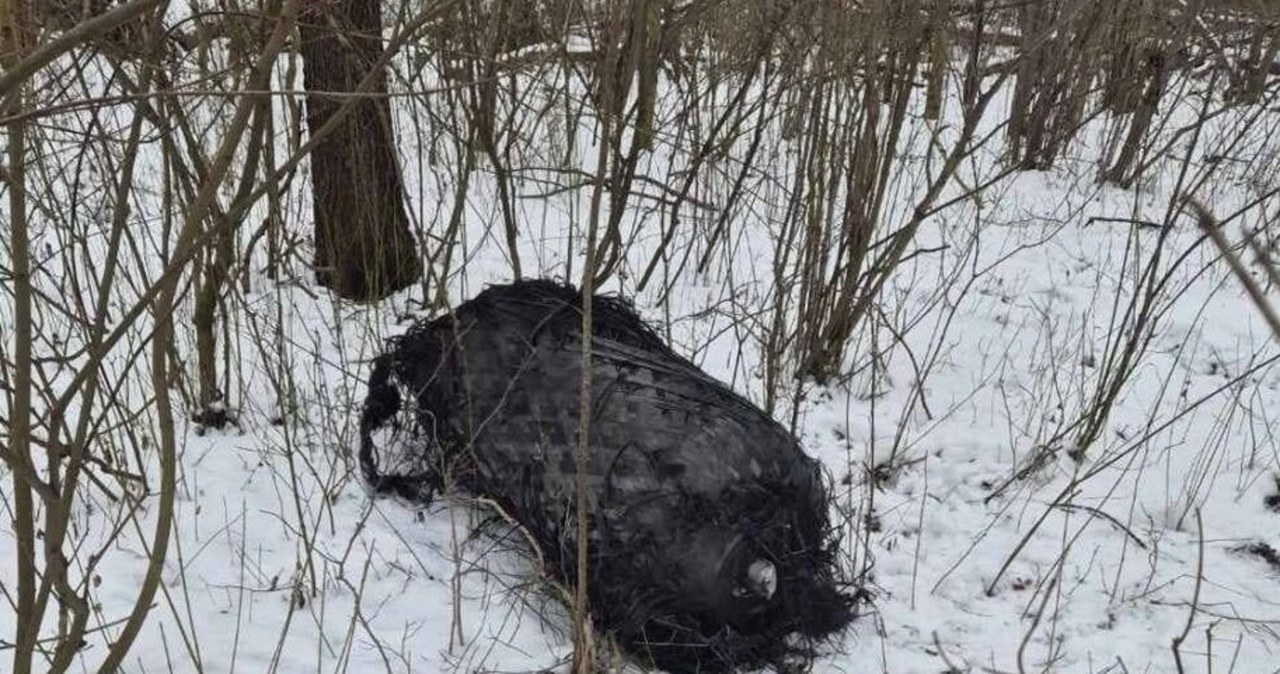Jest reakcja firmy SpaceX w sprawie rakiety Falcon 9. Jej szczątki spadły w Polsce