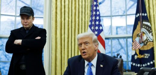 Trump o Musku: Chcę, by działał bardziej agresywnie