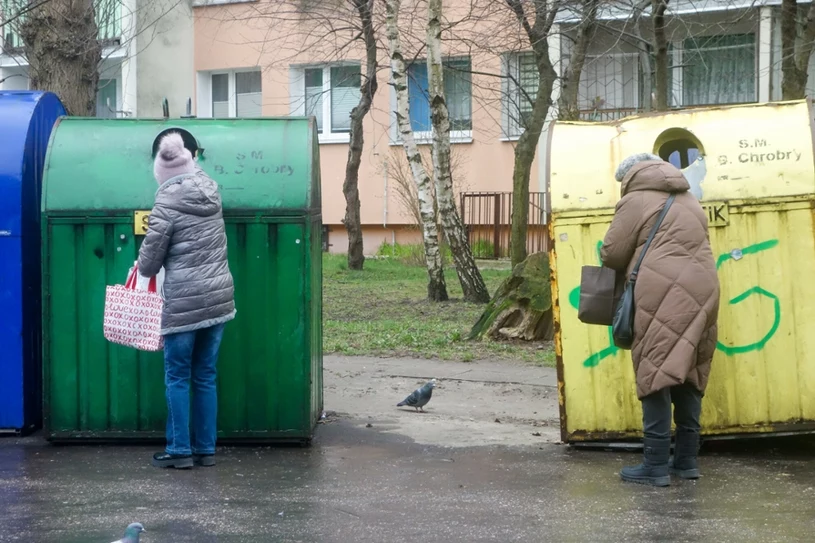 Wyrzucasz tu koci żwirek? Poważnie łamiesz prawo