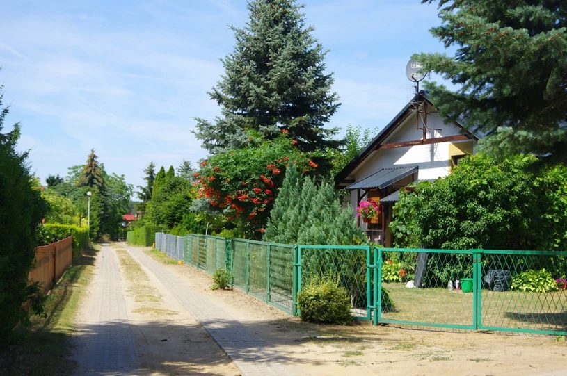 Dotacje dla działkowców w 2025 roku. Co warto wiedzieć?