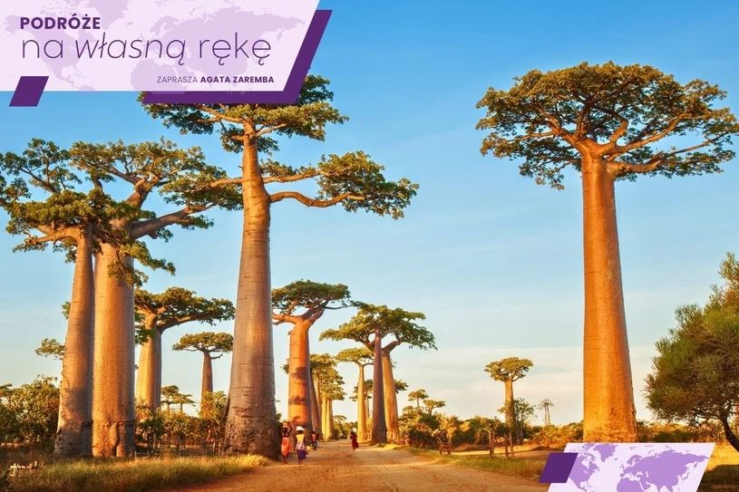 Podróże na własną rękę: „Czerwona wyspa” rozwijała się w zupełnej izolacji. Podróż tam to jak wycieczka na inną planetę