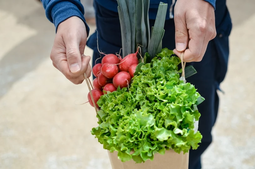 Polskie warzywa wiosenne już w sprzedaży. Jak rozpoznać nasze nowalijki?