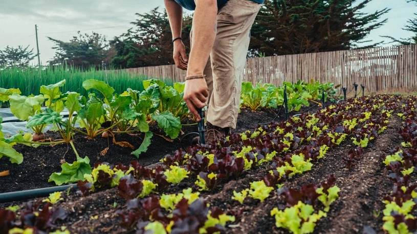 Ćwiczenie łączące stulatków z całego świata. Oto sposób na długowieczność